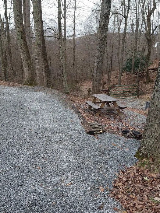 Big Ridge Campground 8