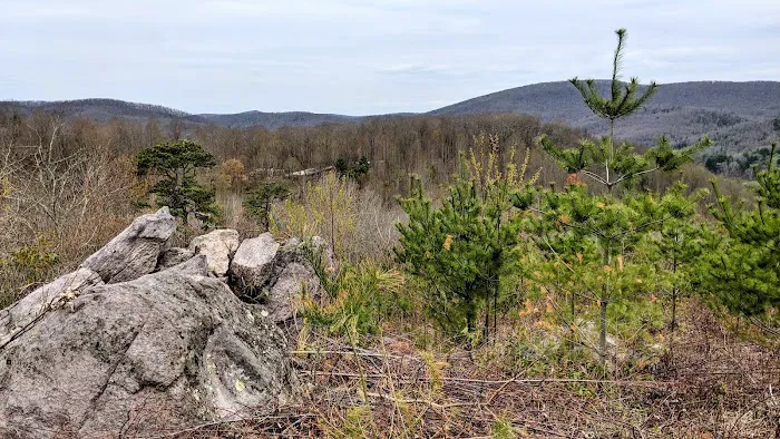 Rocky Hollow Horse Camp 2