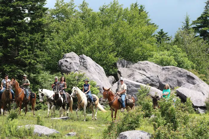 Rocky Hollow Horse Camp 4
