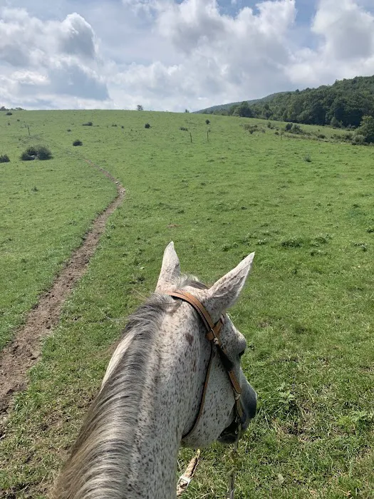 Rocky Hollow Horse Camp 5