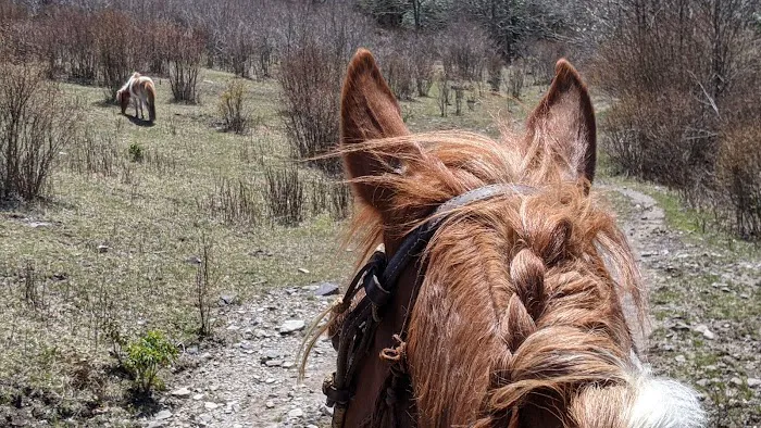 Rocky Hollow Horse Camp 7
