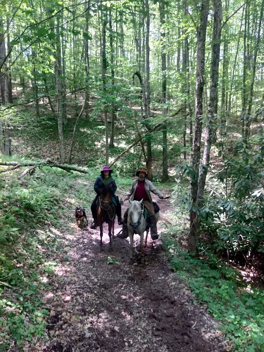 Rocky Hollow Horse Camp 10