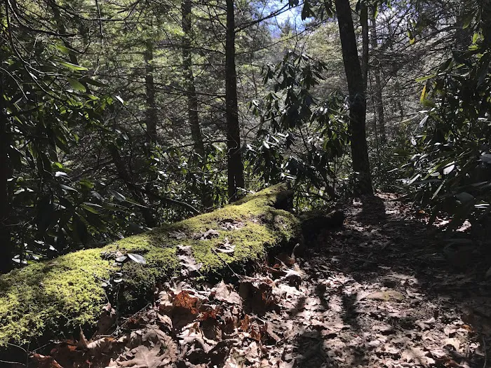 Comers Rock Recreation Area 1