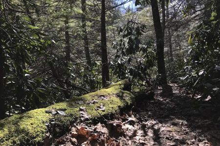 Comers Rock Recreation Area