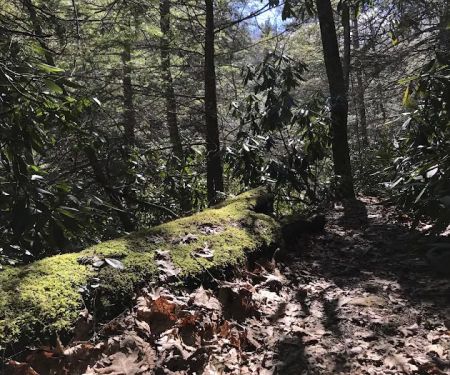 Comers Rock Recreation Area