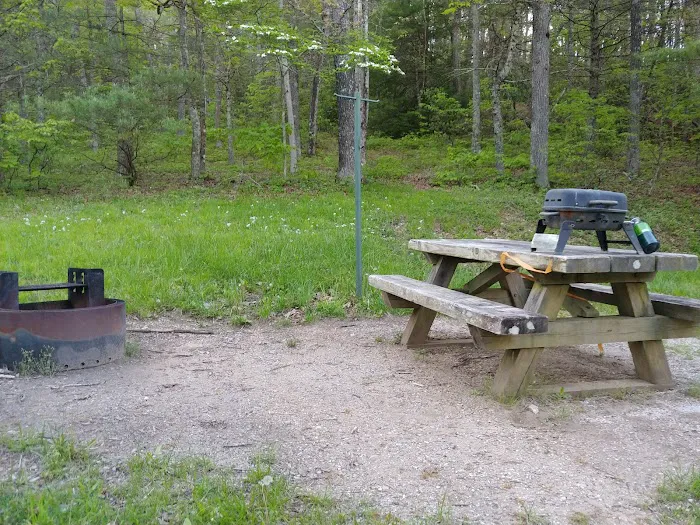 Comers Rock Recreation Area 10