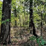 Eaglewood Mobile Home Park