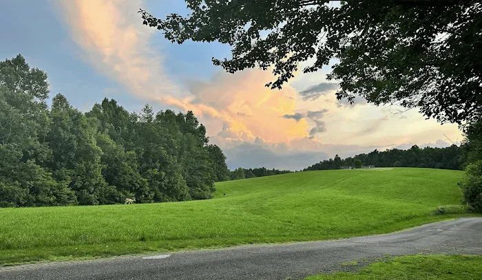 Meadows of Dan Campground & Cabins 6