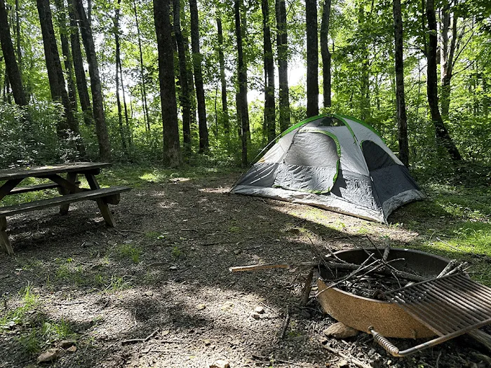Meadows of Dan Campground & Cabins 10