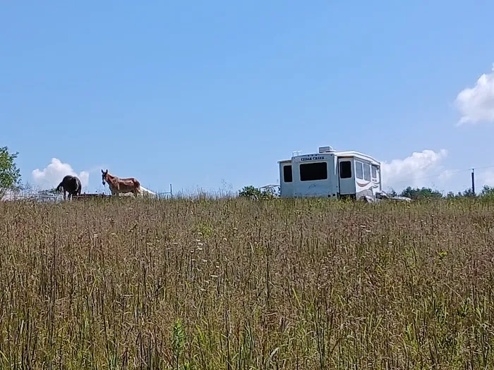 Panther Creek Campground 4