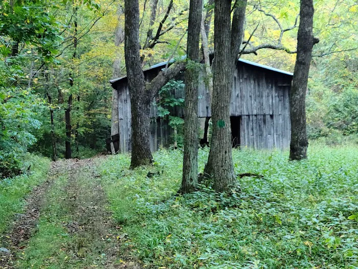 Rocky Knob Recreation Area 6
