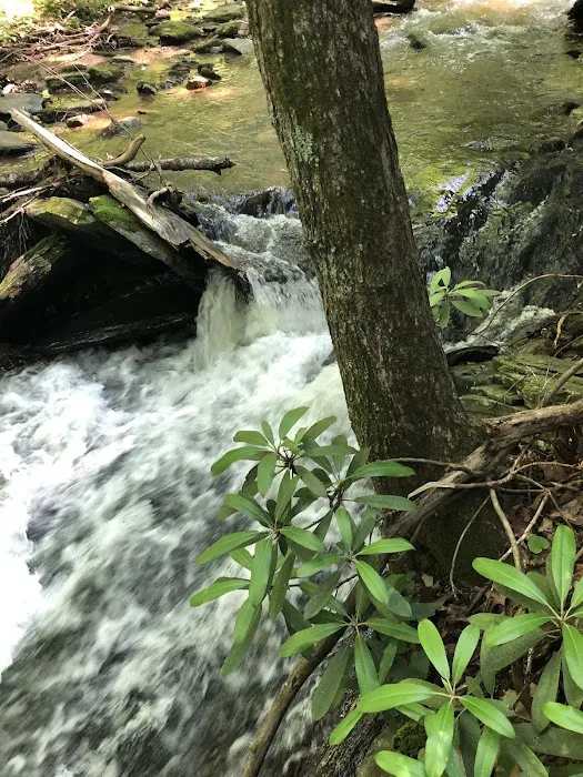 Rocky Knob Recreation Area 8