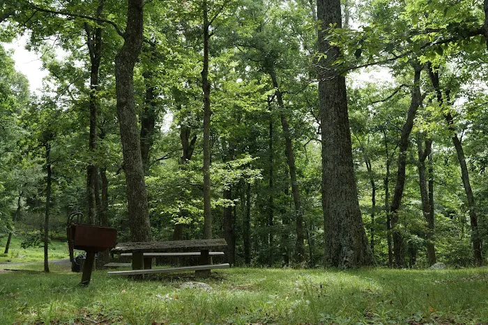 Rocky Knob Recreation Area 10
