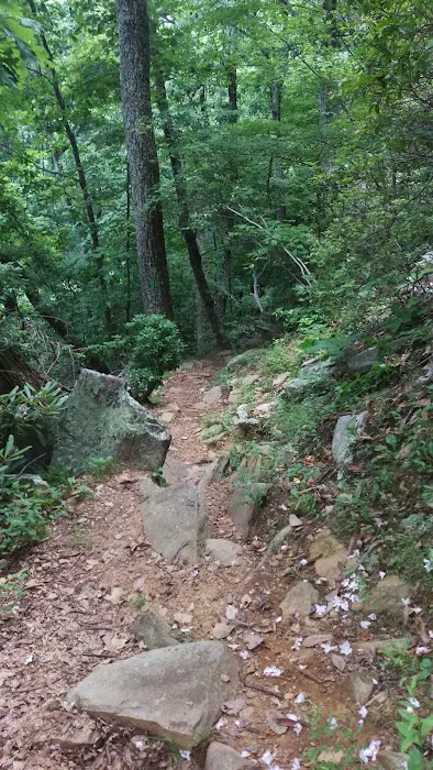 Blue Ridge Parkway Rocky Knob Information Center 5