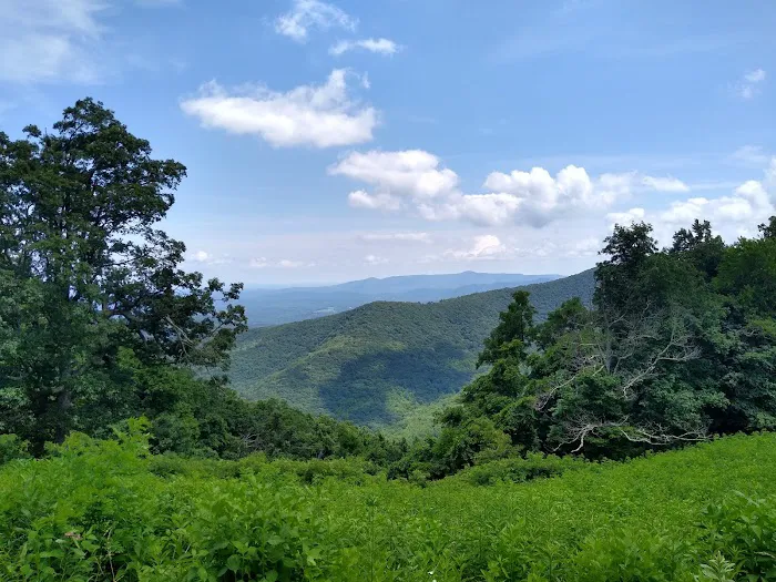 Rocky Knob Picnic Area 1
