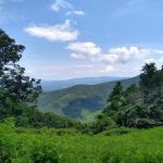 Rocky Knob Picnic Area