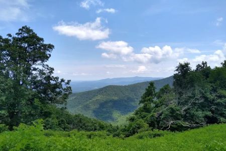 Rocky Knob Picnic Area