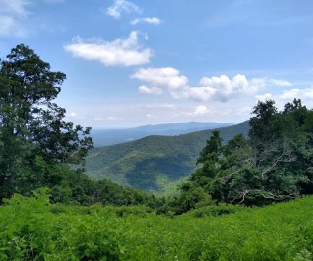 Rocky Knob Picnic Area