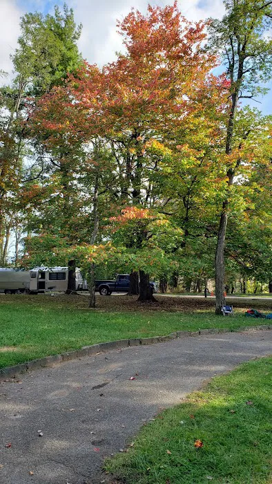 Rocky Knob Picnic Area 4