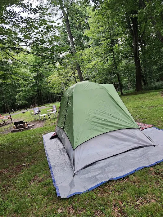 Rocky Knob Picnic Area 9