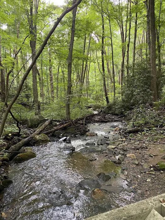 Rocky Knob Picnic Area 8