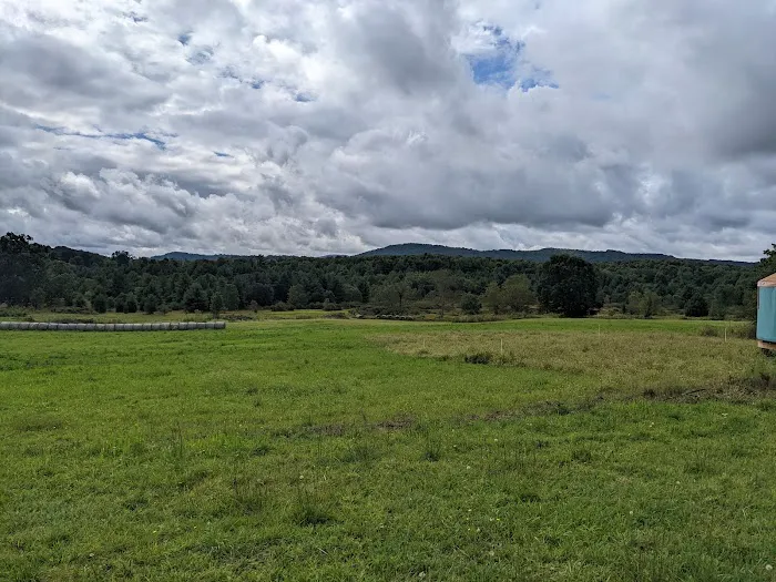 Wild Meadows 2