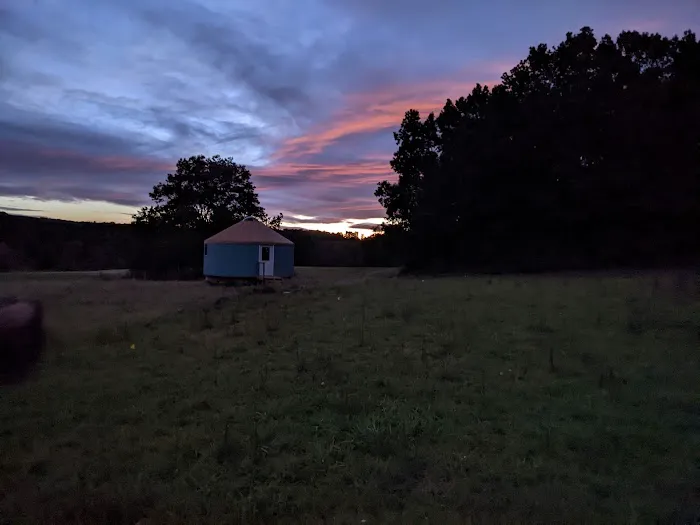 Wild Meadows 4