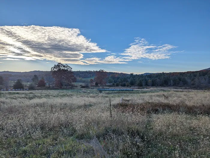 Wild Meadows 5