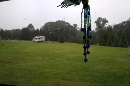 Wilson Properties and RV Park