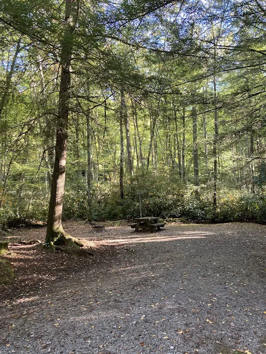 Beartree Recreation Area 6