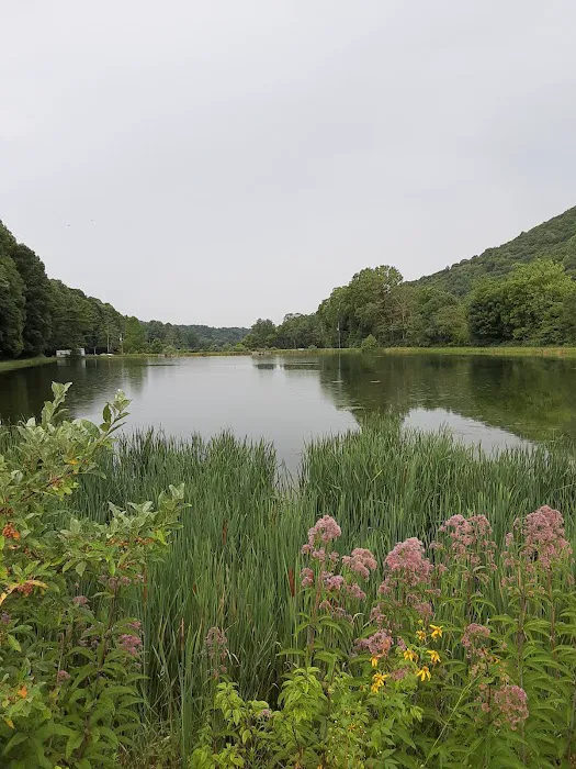 Beartree Recreation Area 3