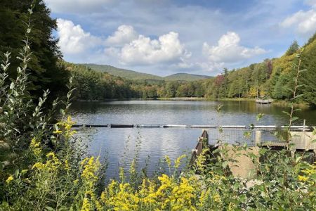 Beartree Campground