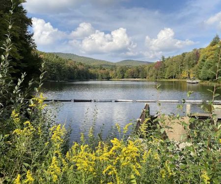 Beartree Campground