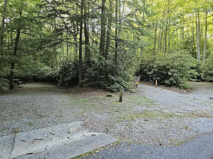 Beartree Campground 5
