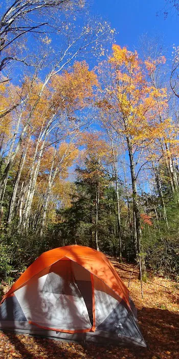 Beartree Campground 6