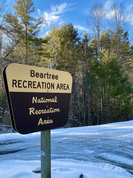 Beartree Campground 3