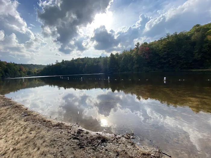 Beartree Campground 4