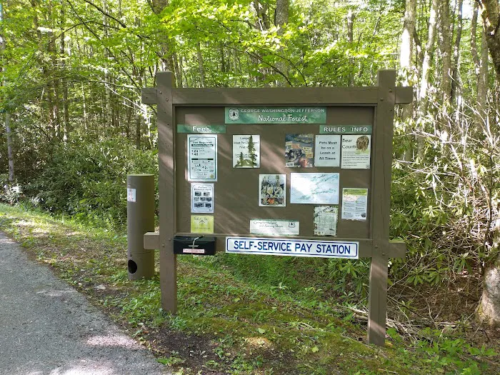 Beartree Campground 8