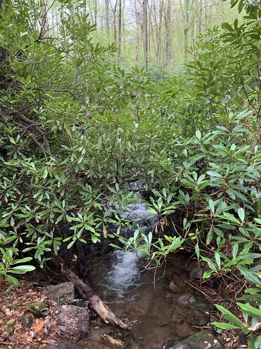 Grindstone Campground 4