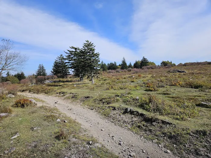 Fox Creek Horse Camp 2