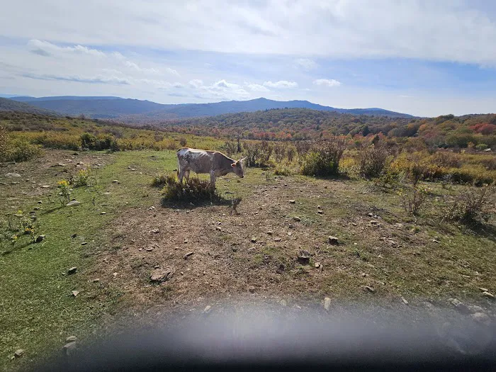 Fox Creek Horse Camp 1