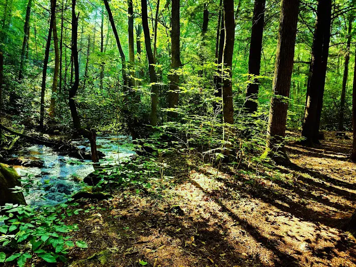 Hurricane Campground 5