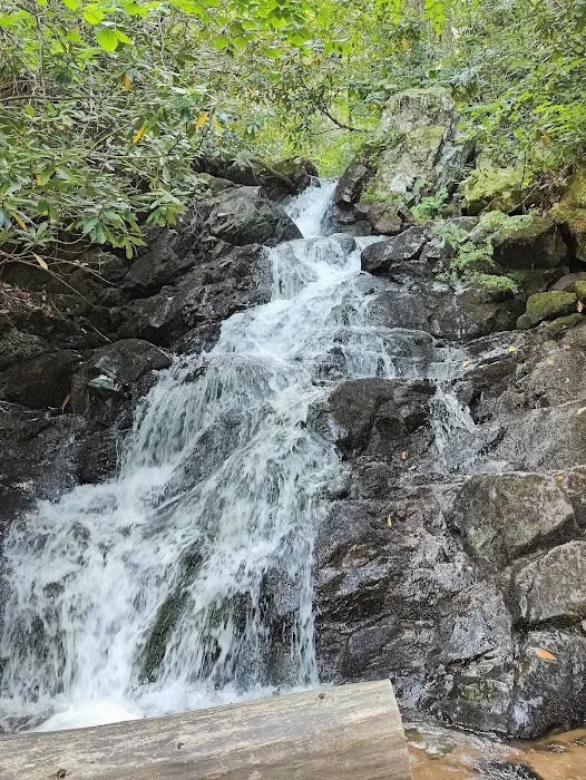 Hurricane Campground 4