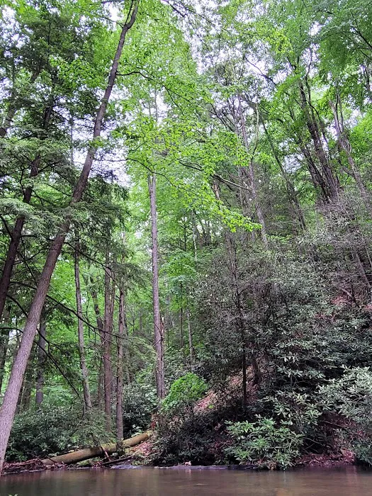 Hurricane Campground 10