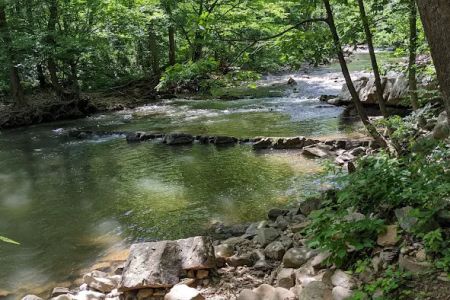 Laurel Creek RV Park