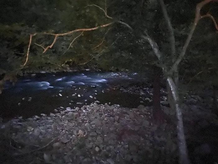 Laurel Creek RV Park 8