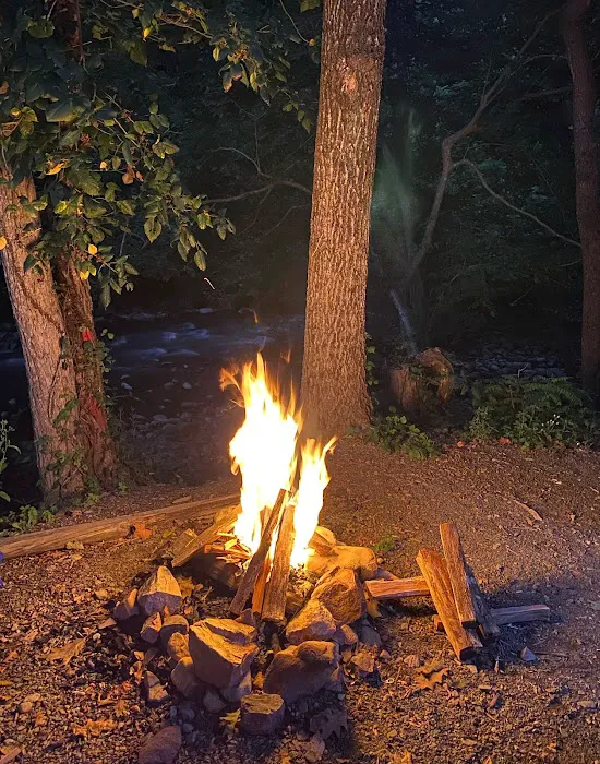 Laurel Creek RV Park 6