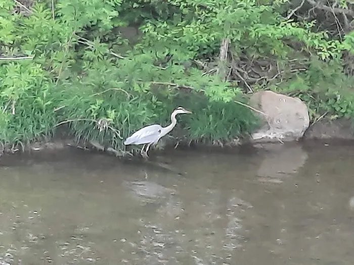 Damascus Creekside RV Park 7