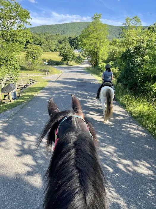 Iron Mountain Horse Camp 1