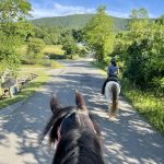Iron Mountain Horse Camp